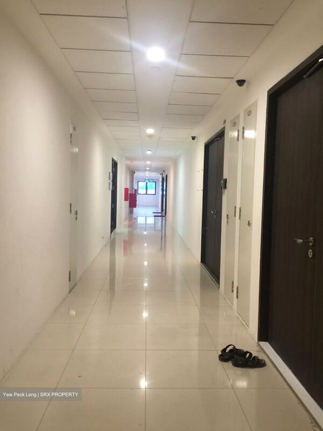 Vertex (D14), Factory #523669071